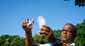 Saúde participa da soltura de mosquitos que não transmitem doenças